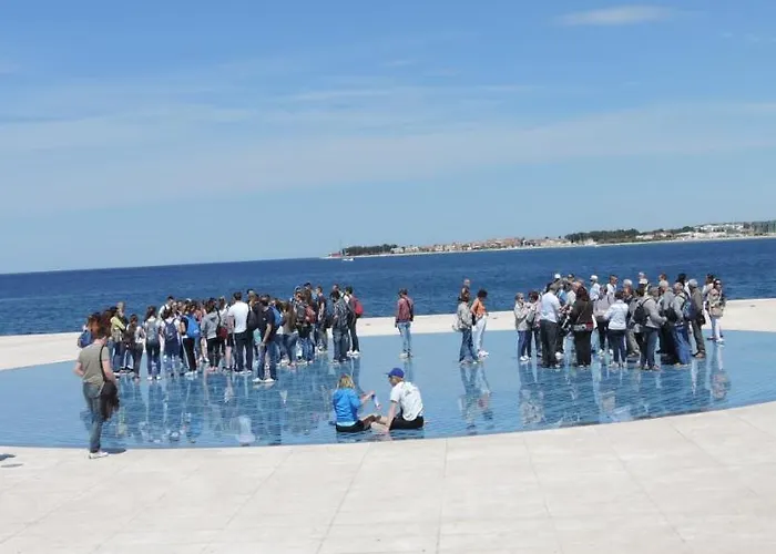 Martina Zadar